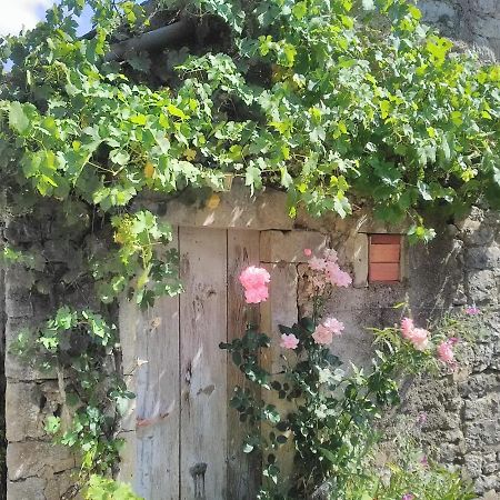 Gite Le Tilleul De La Fontaine Alluy Dış mekan fotoğraf